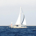Thumb for Boat Spotters of the Caribbean